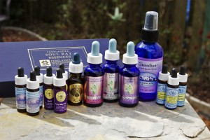 Flower Essences